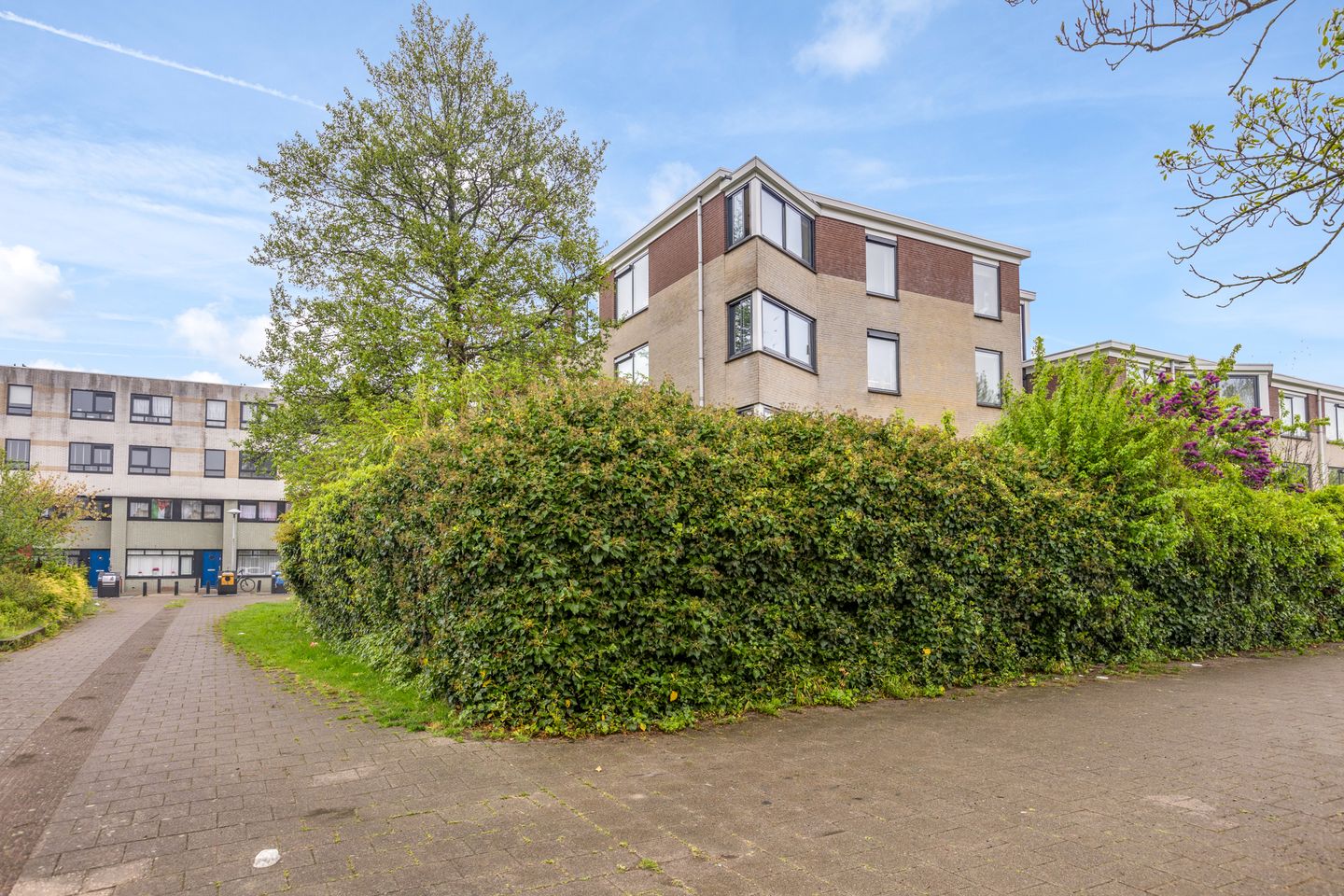 Foto 44 van Spijkerstraat 34