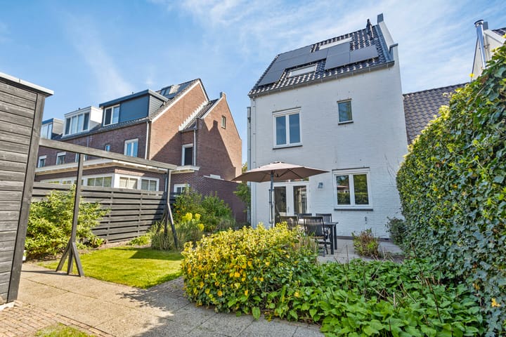 Foto 6 van Westerschelde 52