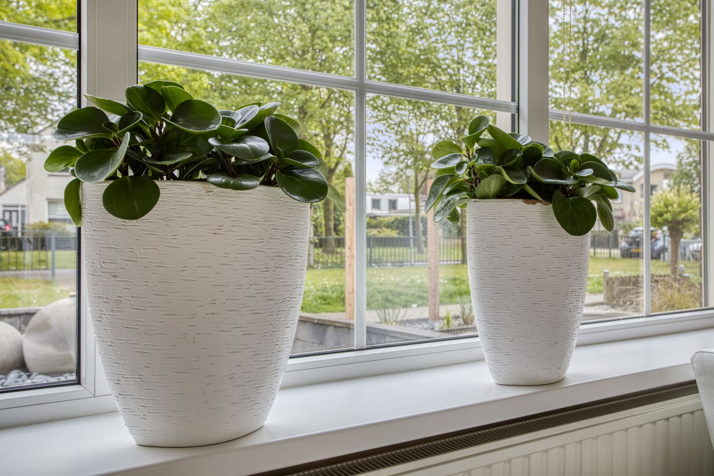 Photo 10 of Baai 110