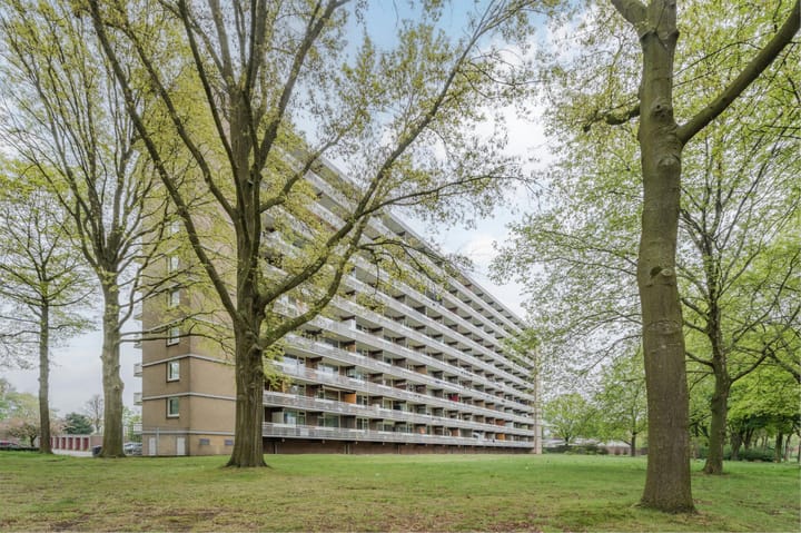 Lisztgaarde 104