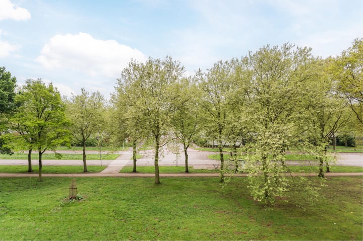 Foto 18 van Lisztgaarde 104