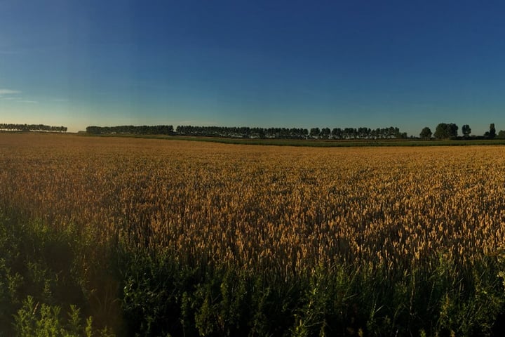 Foto 4 van Platteweg 1