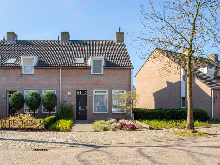 Photo 1 of Calluna 24