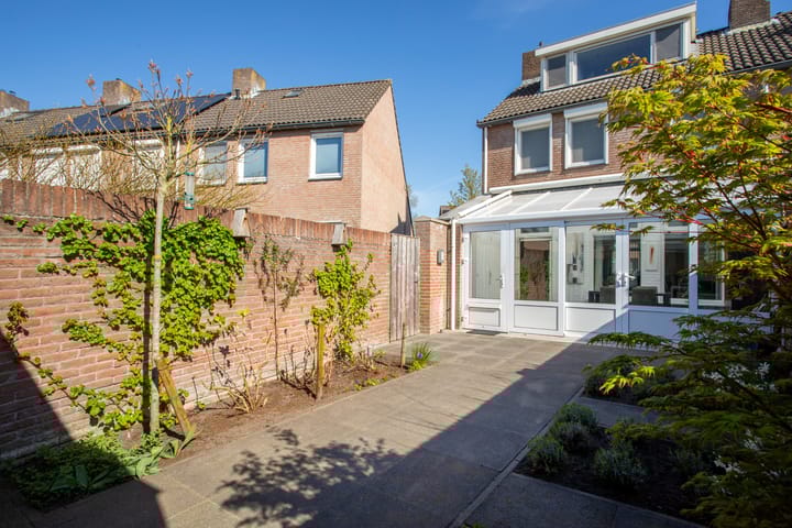 Photo 27 of Calluna 24