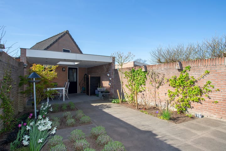 Photo 28 of Calluna 24