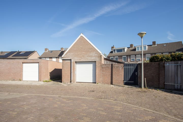 Photo 33 of Calluna 24