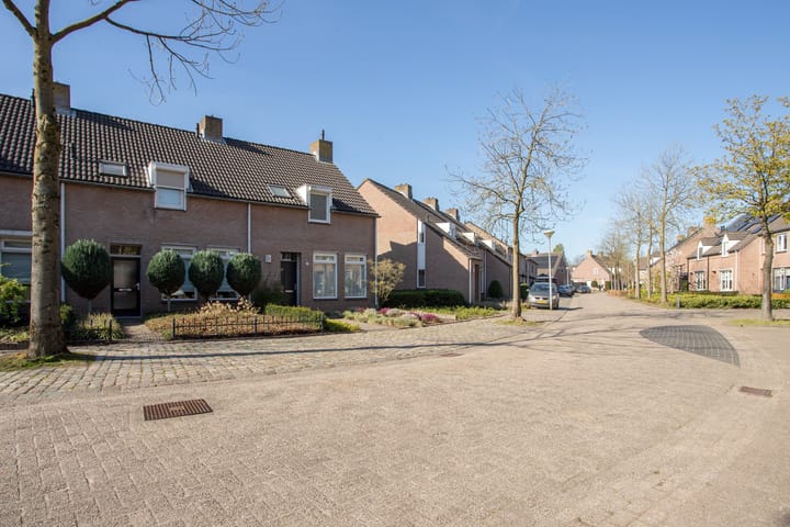 Photo 34 of Calluna 24