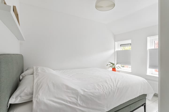 Photo 21 of Zilvergeldstraat 51