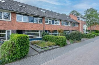 Dikkertje Dap 10 secondary image