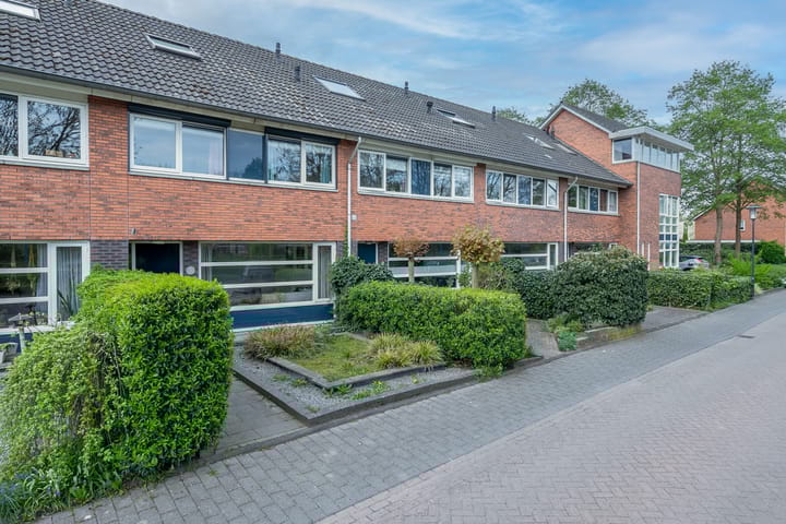 Foto 2 van Dikkertje Dap 10