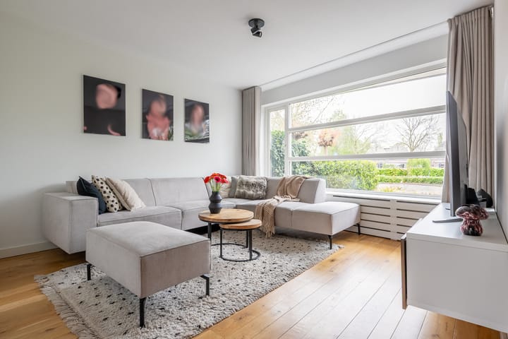 Foto 3 van Dikkertje Dap 10