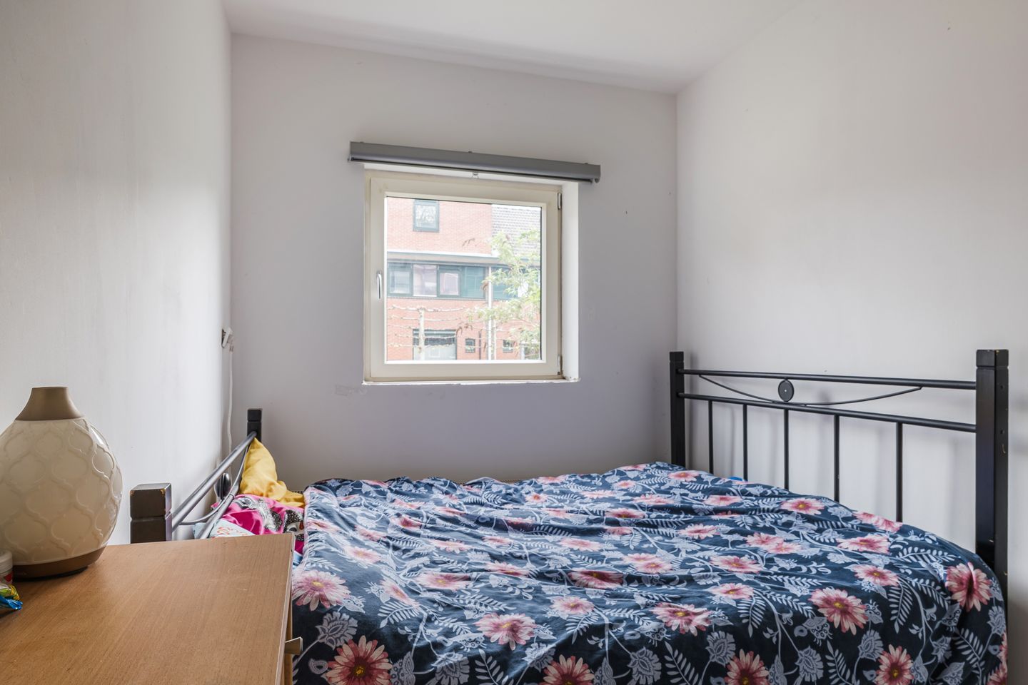 Photo 20 of Dr Dassenstraat 1