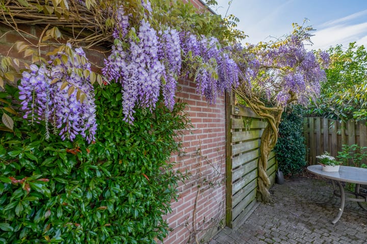 Foto 16 van Himalaya 33