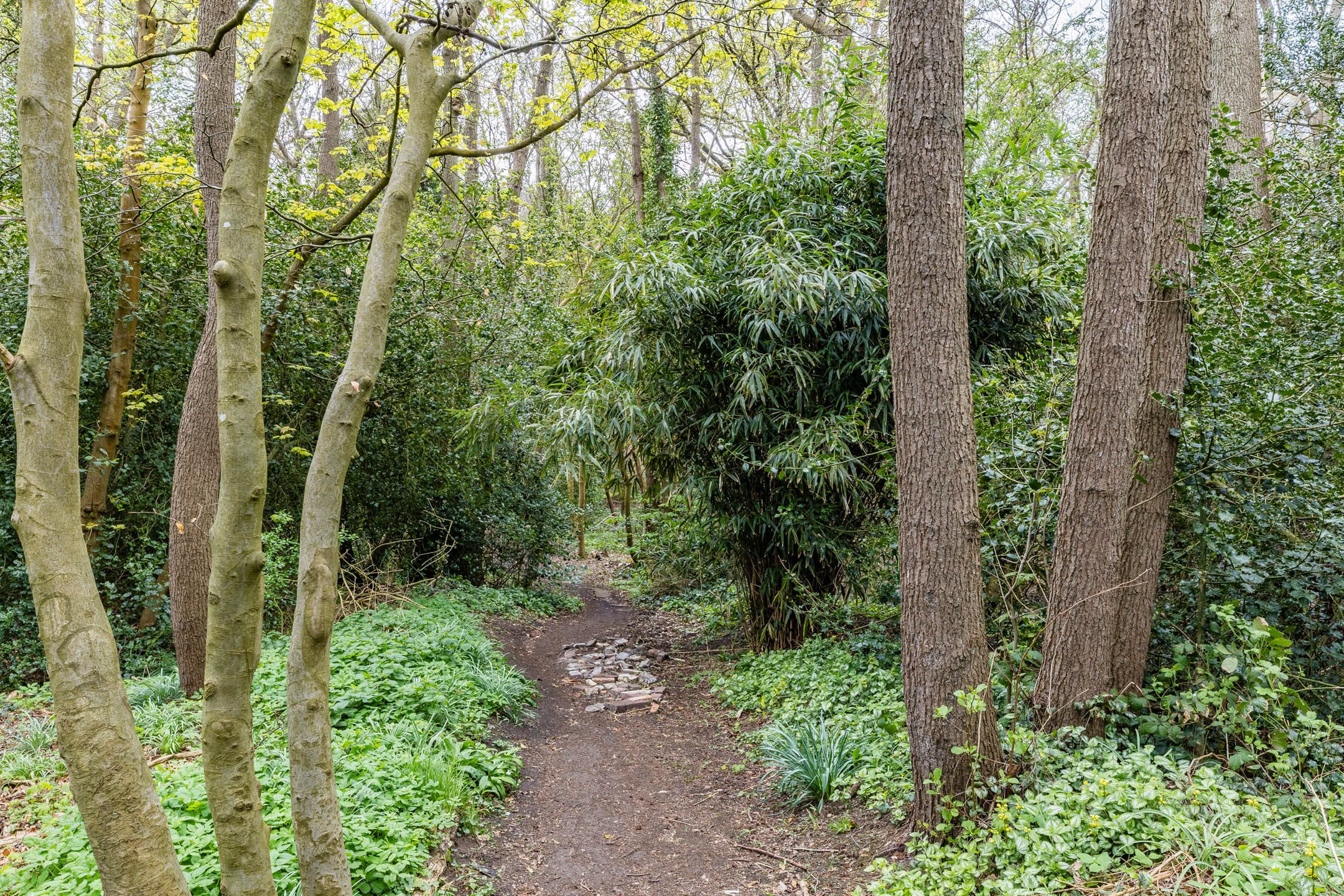 Foto 30 van Duinweg 99-0006