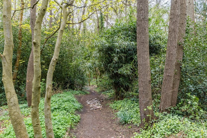 Foto 30 van Duinweg 99-0006