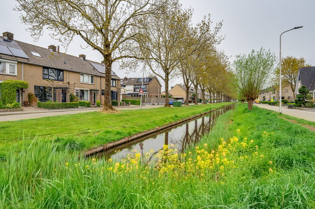 Foto 2 van Singel 65