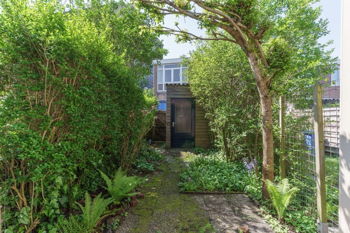 Foto 17 van Borneostraat 13