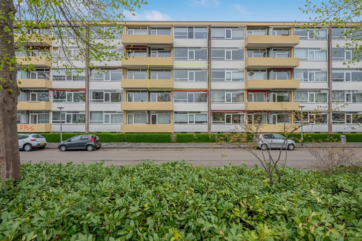 Foto 4 van Damsterdiep 129