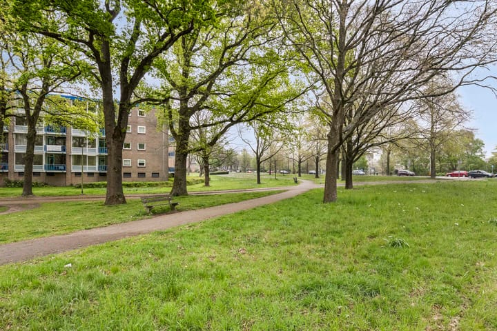 Photo 20 of Brinklaan 207