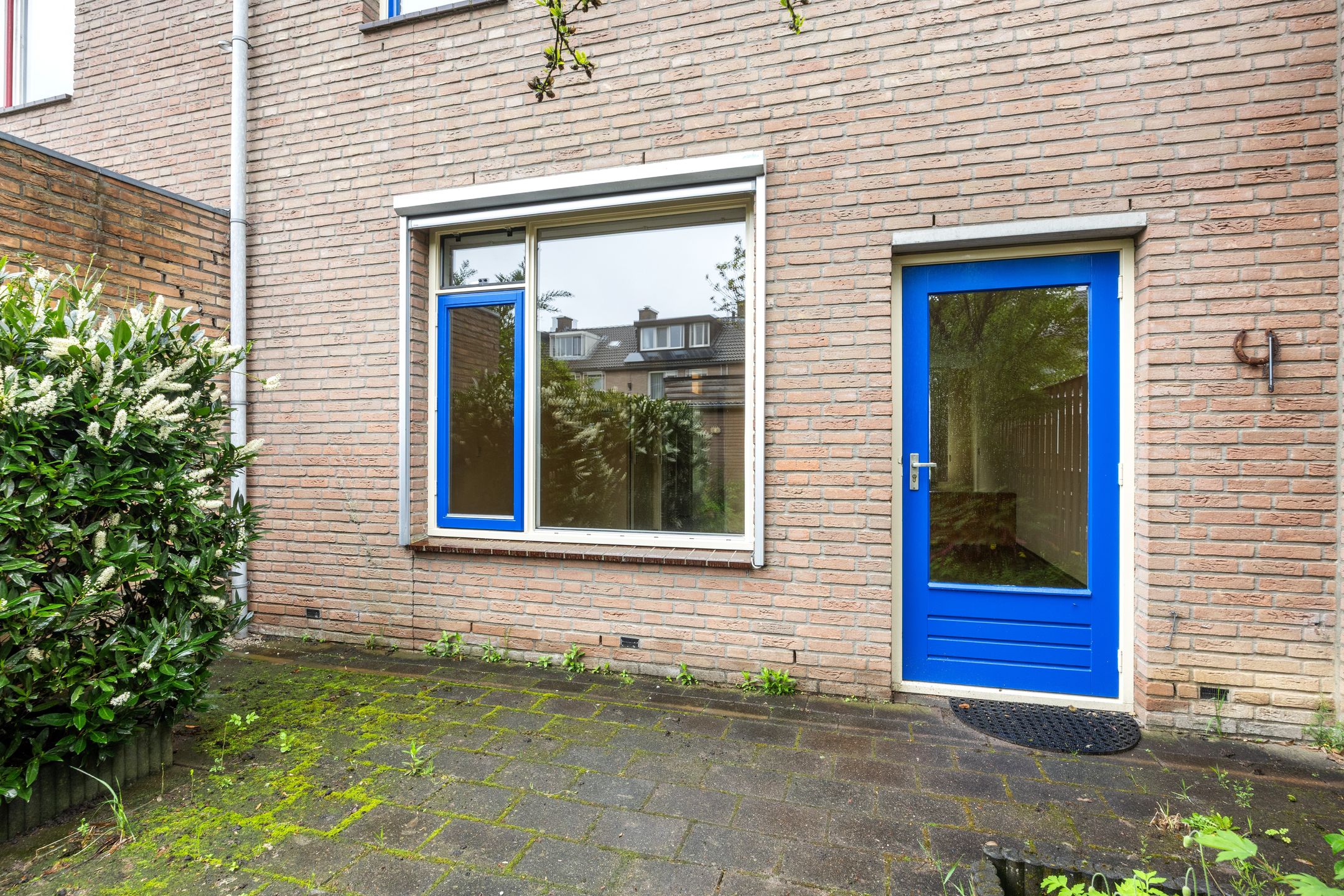 Foto 30 van Dorscamp 8