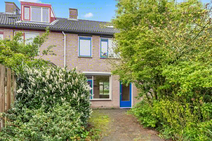 Foto 31 van Dorscamp 8