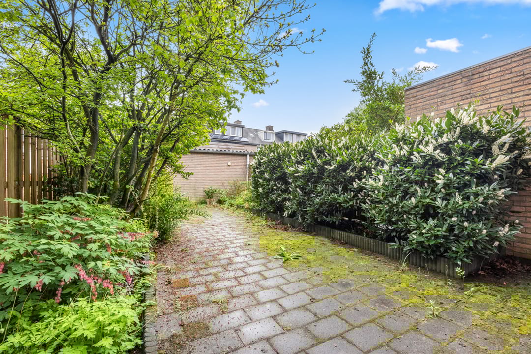 Foto 32 van Dorscamp 8