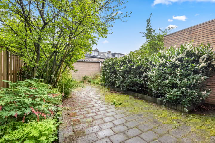 Foto 32 van Dorscamp 8