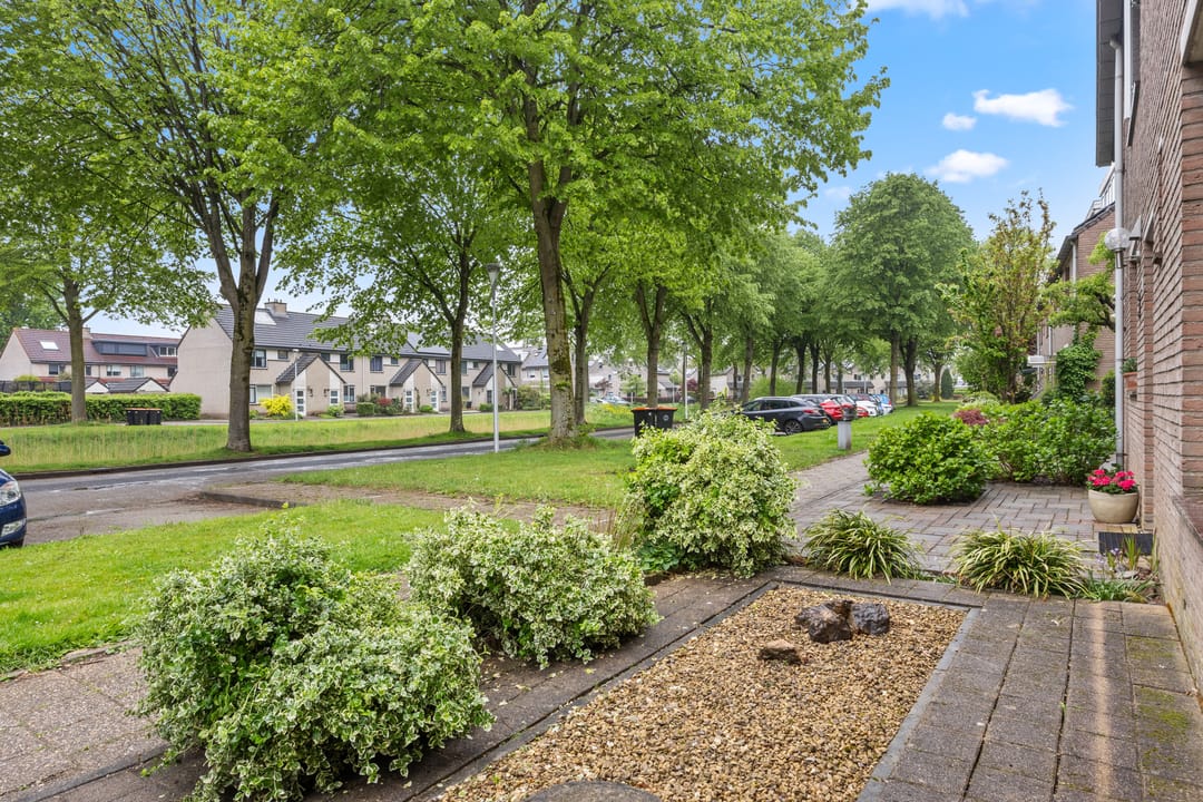 Foto 37 van Dorscamp 8