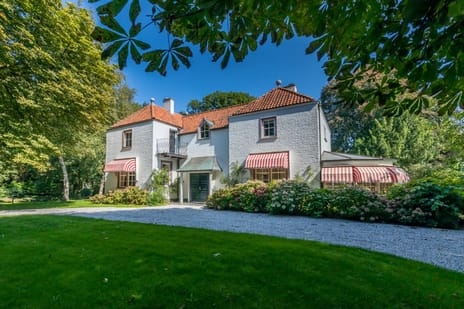 undefined main image