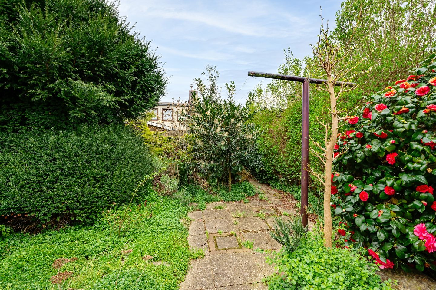 Photo 35 of Molukkenstraat 28