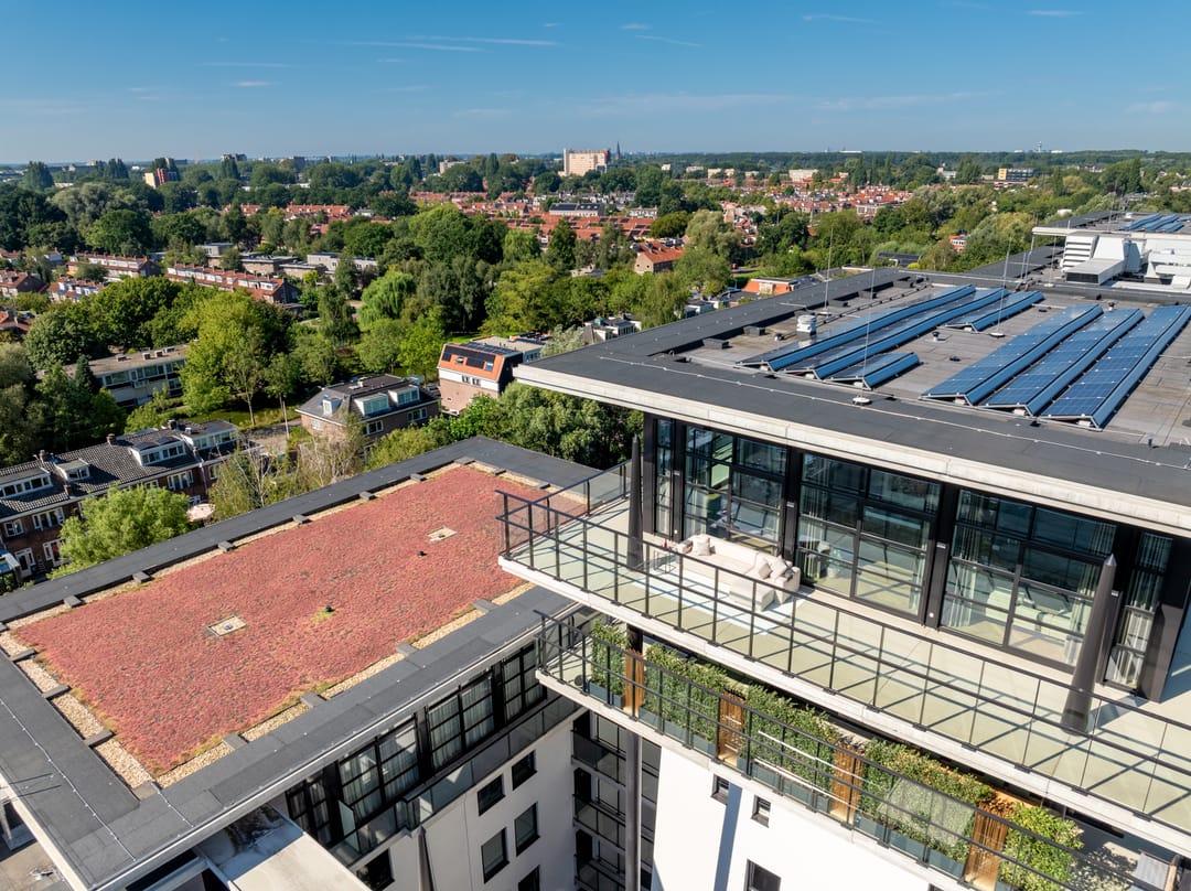 Photo 13 of Burgemeester Rijnderslaan 496