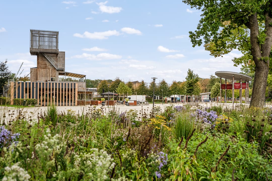 Photo 38 of Hulsthof 25