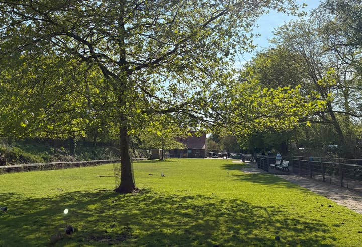 Foto 23 van Jasmijnstraat 40