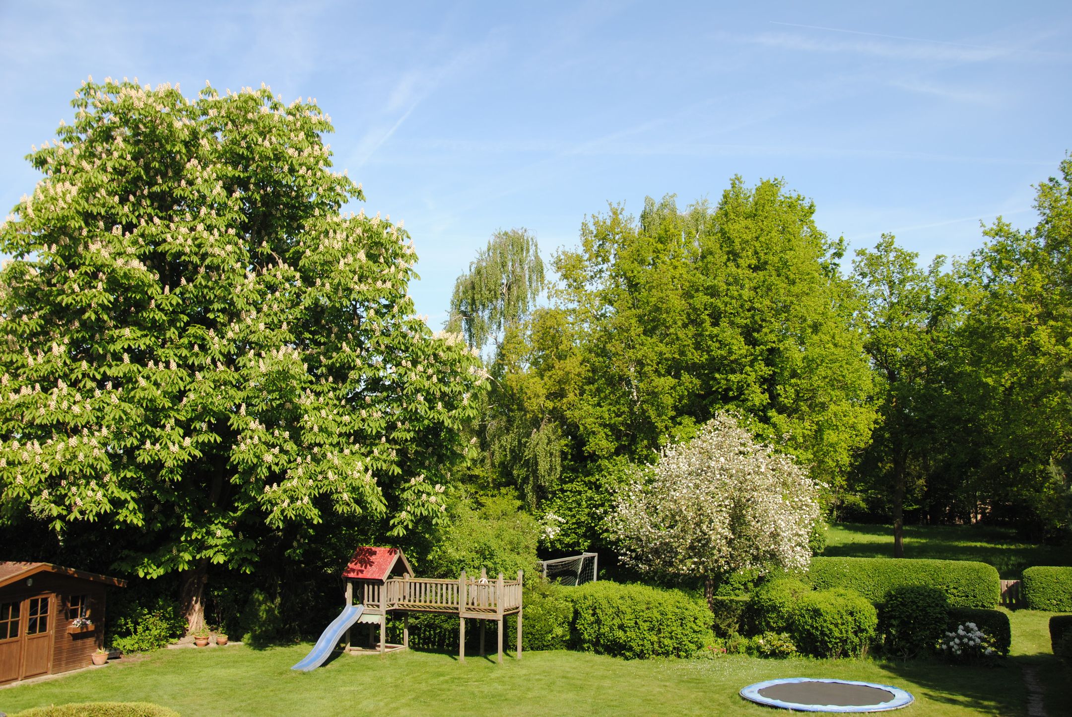 Foto 3 van Achterste Groes 14