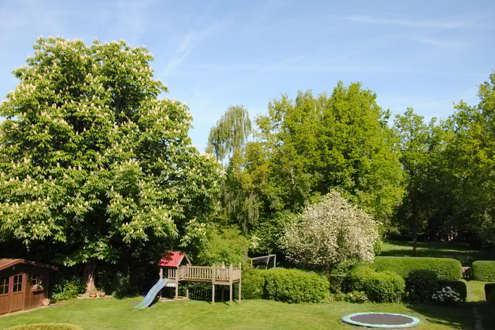 Foto 3 van Achterste Groes 14