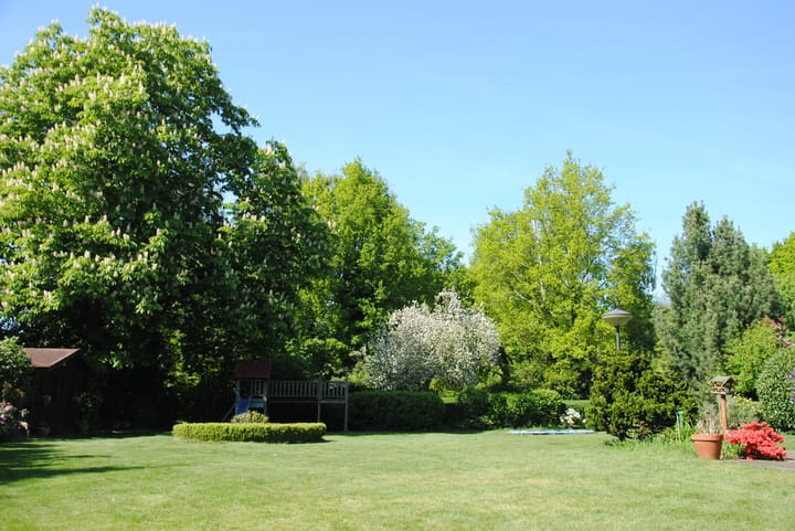 Foto 40 van Achterste Groes 14