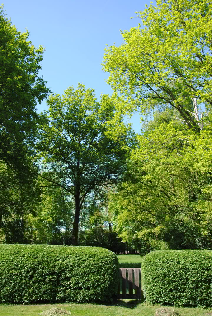 Foto 41 van Achterste Groes 14