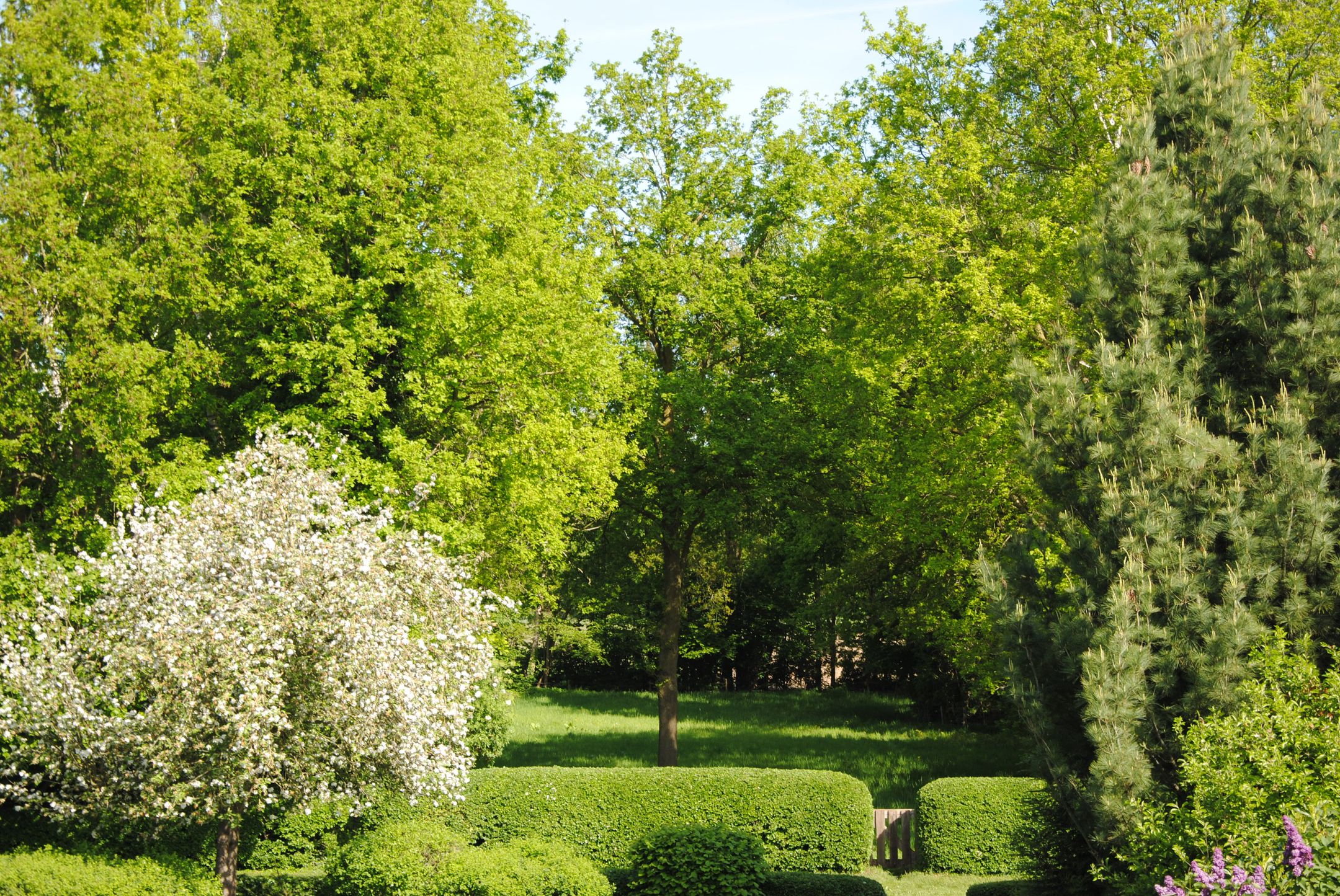 Foto 45 van Achterste Groes 14