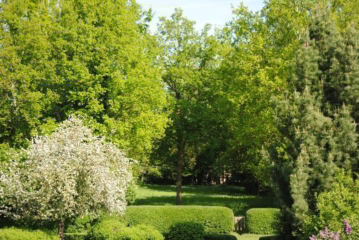 Foto 45 van Achterste Groes 14