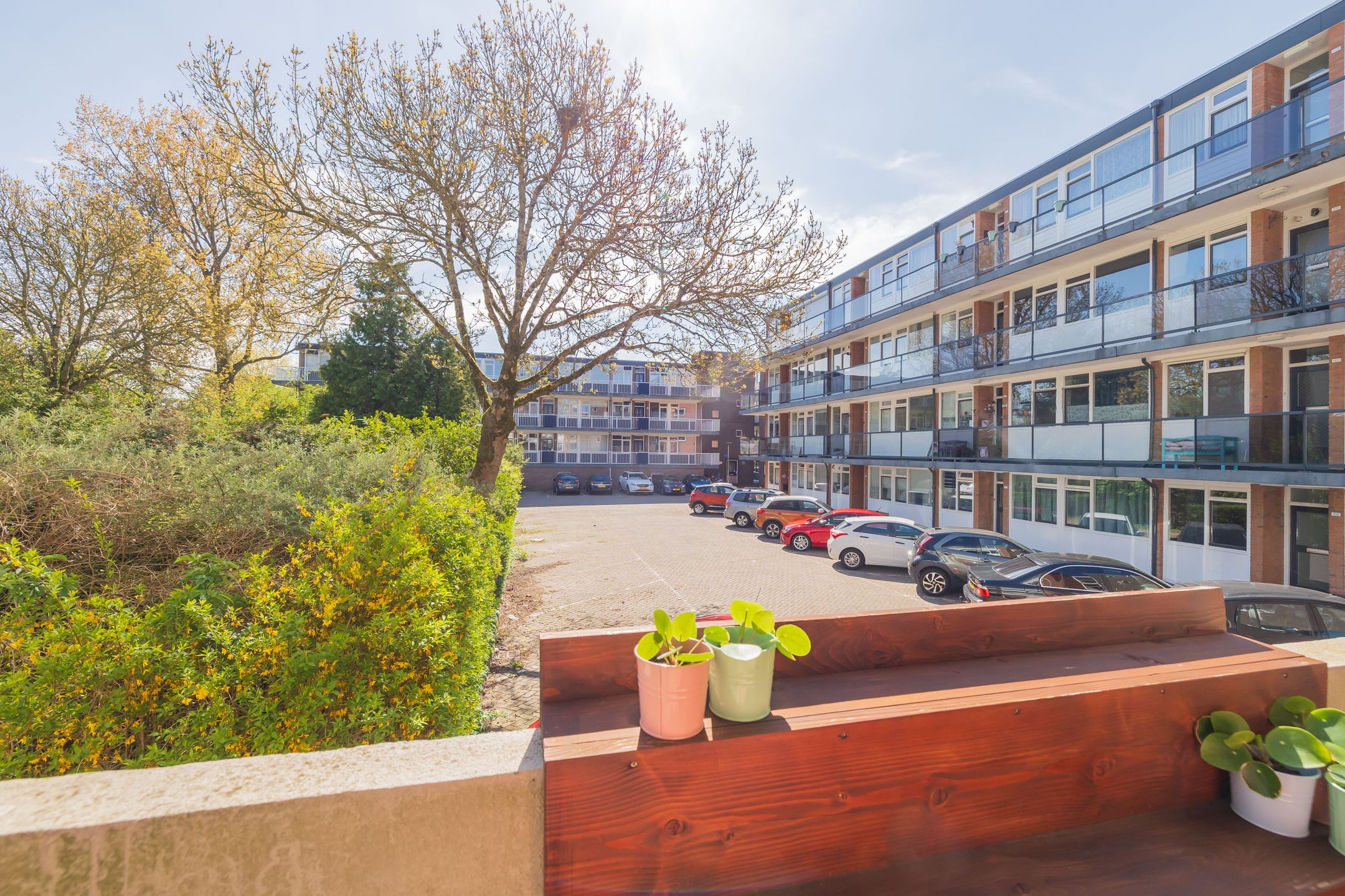 Foto 30 van Faleriolaan 161