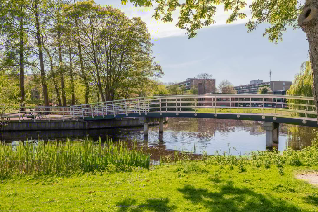 Foto 37 van Faleriolaan 161