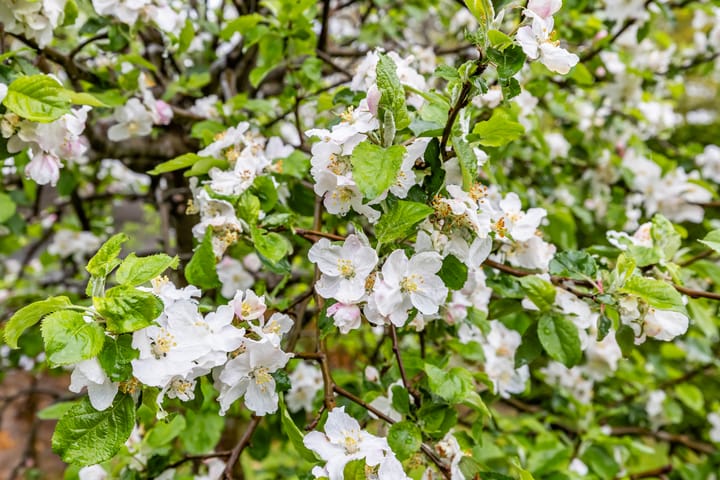 Photo 52 of Verlengde Stationsweg 35