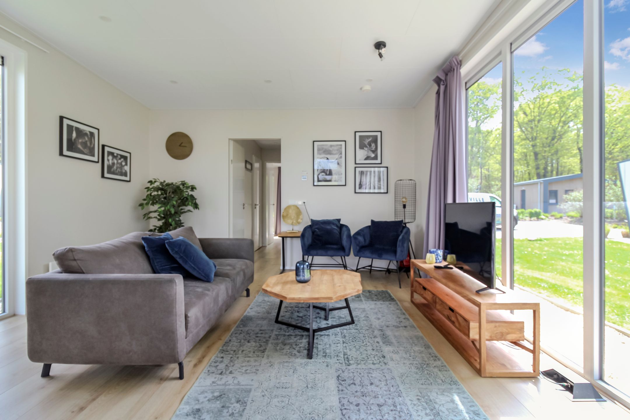 Foto 6 van van Haestrechtstraat 24-538