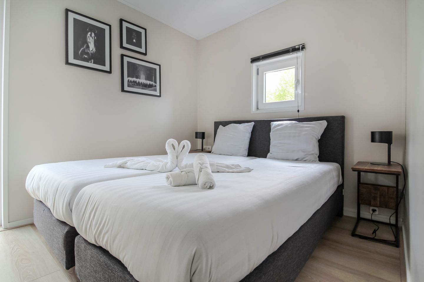 Foto 14 van van Haestrechtstraat 24-538