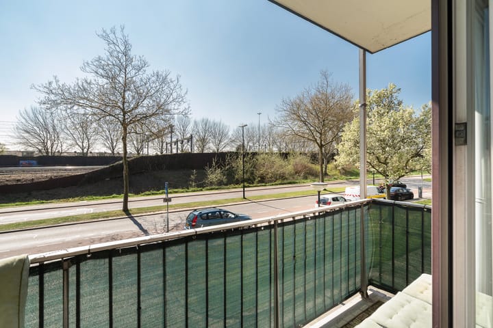 Foto 3 van Burgemeester de Raadtsingel 159