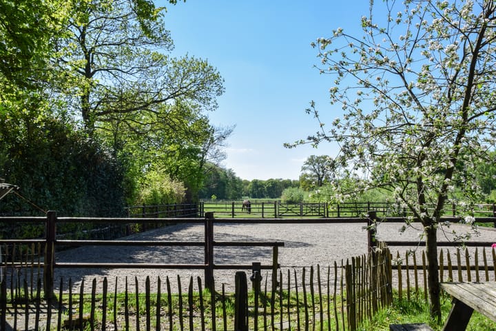 Photo 59 of Putterstraat 2