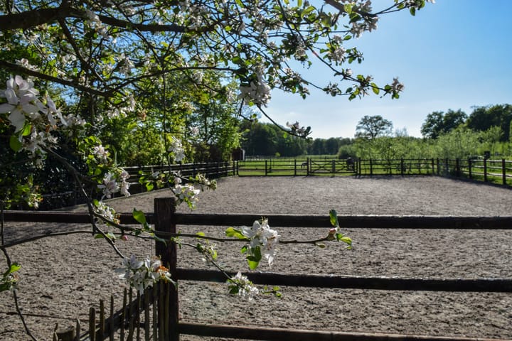 Photo 60 of Putterstraat 2