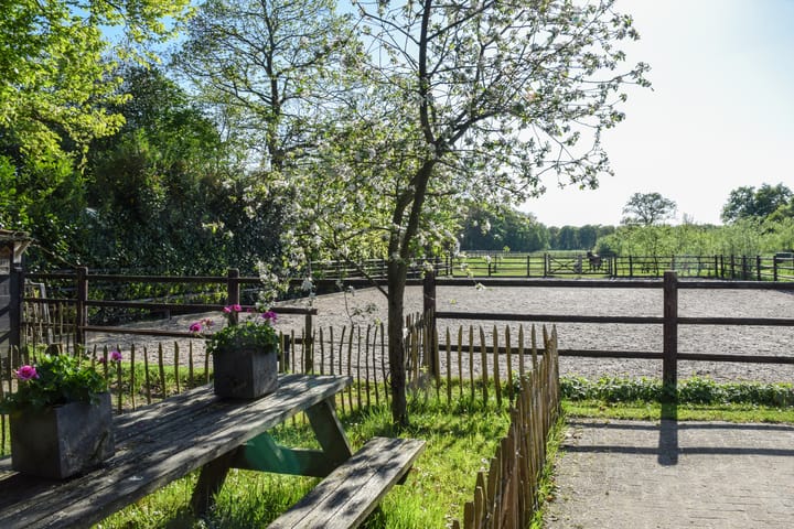 Photo 61 of Putterstraat 2