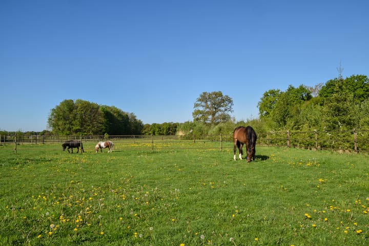 Photo 65 of Putterstraat 2