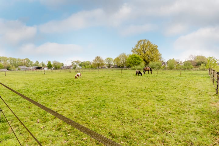 Photo 67 of Putterstraat 2